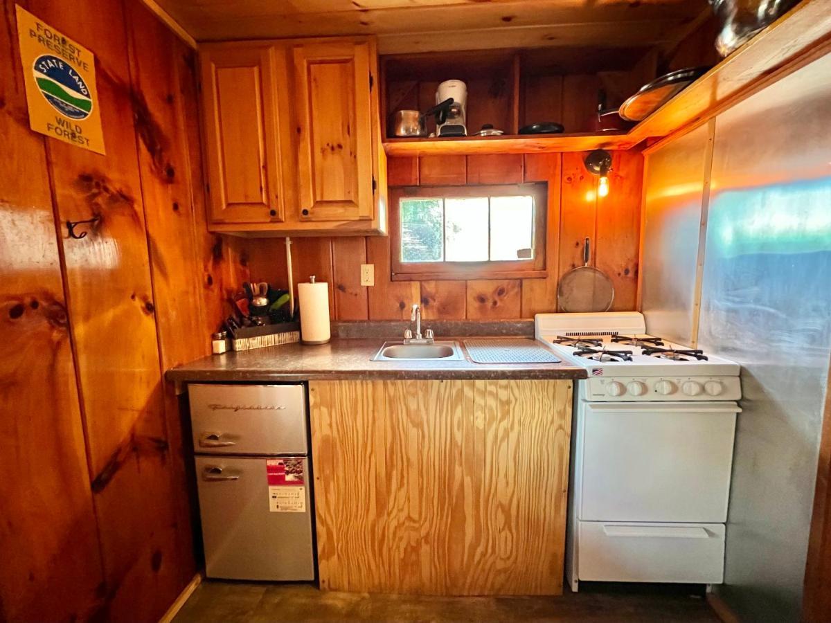 Adirondack Lake Cabins Ξενοδοχείο Indian Lake Εξωτερικό φωτογραφία