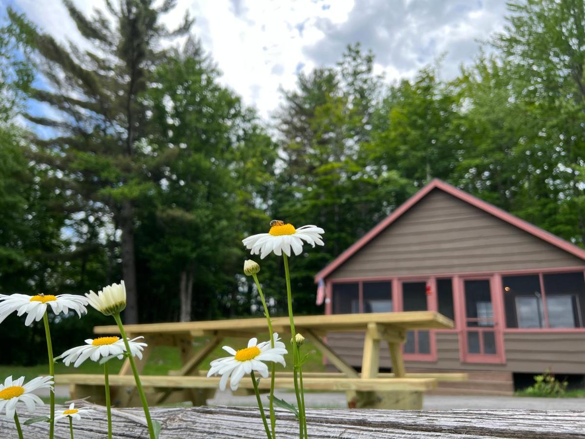 Adirondack Lake Cabins Ξενοδοχείο Indian Lake Εξωτερικό φωτογραφία